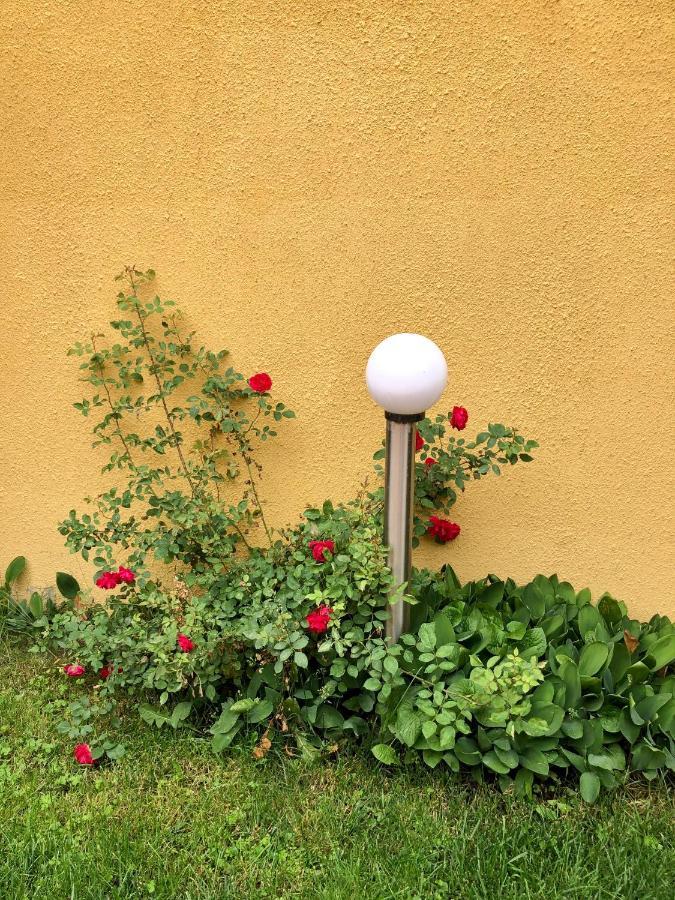 Nice&Cozy Apartament Sighisoara Exterior photo